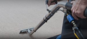 Carpet Cleaning Mosman