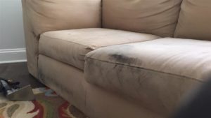 Sofa cleaning Mosman