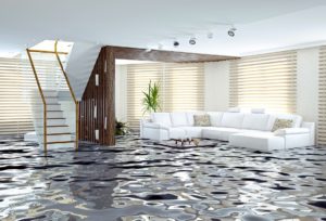 flood damage restoration Mosman