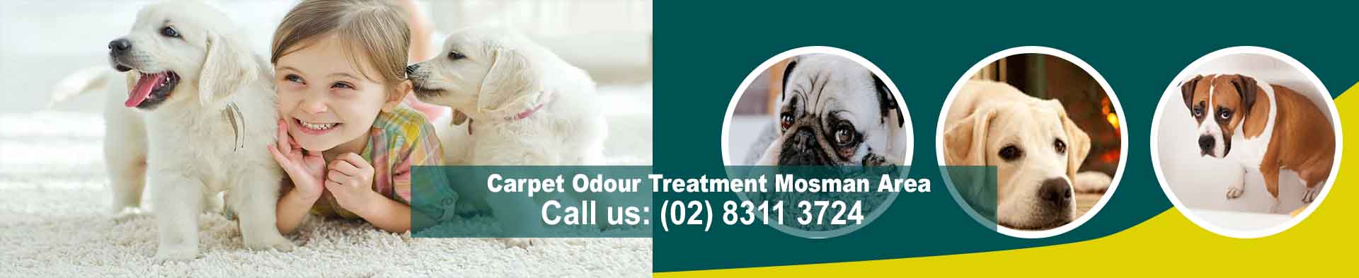 Carpet Odour Treatment Mosman