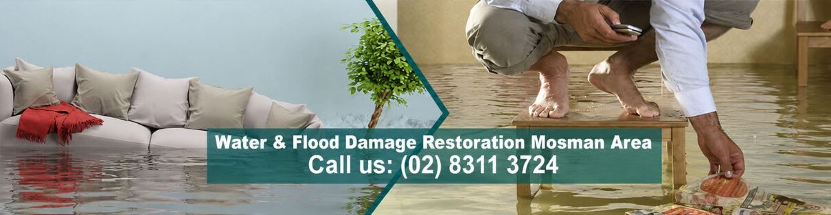Flood Damage Restoration Services